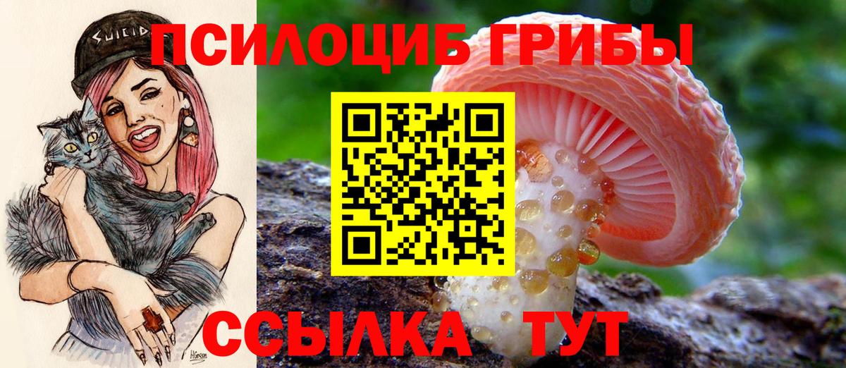 Галлюциногенные грибы GOLDEN TEACHER Лениногорск