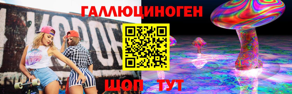Лениногорск  Галлюциногенные грибы прущие грибы  Вход с VPN 